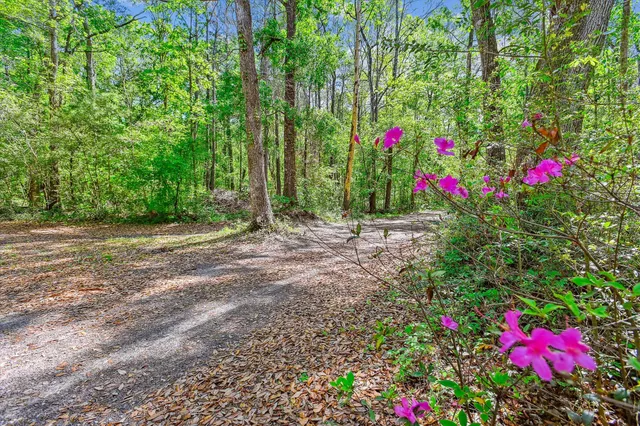 $215,000 | 7095 Parkers Ferry Road, Adams Run, SC 29426