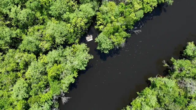 $215,000 | 7095 Parkers Ferry Road, Adams Run, SC 29426