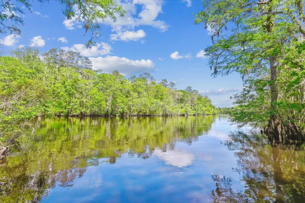 $199,000 | 7095 Parkers Ferry Road, Adams Run, SC 29426