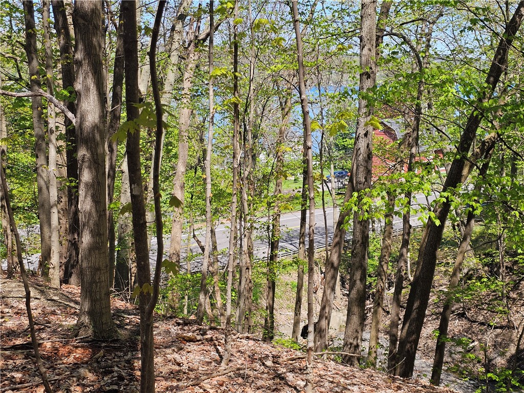 613 East Lake Road Penn Yan, NY 14527 - Photo 4 of 35 KEUKA LAKE THROUGH THE TREES