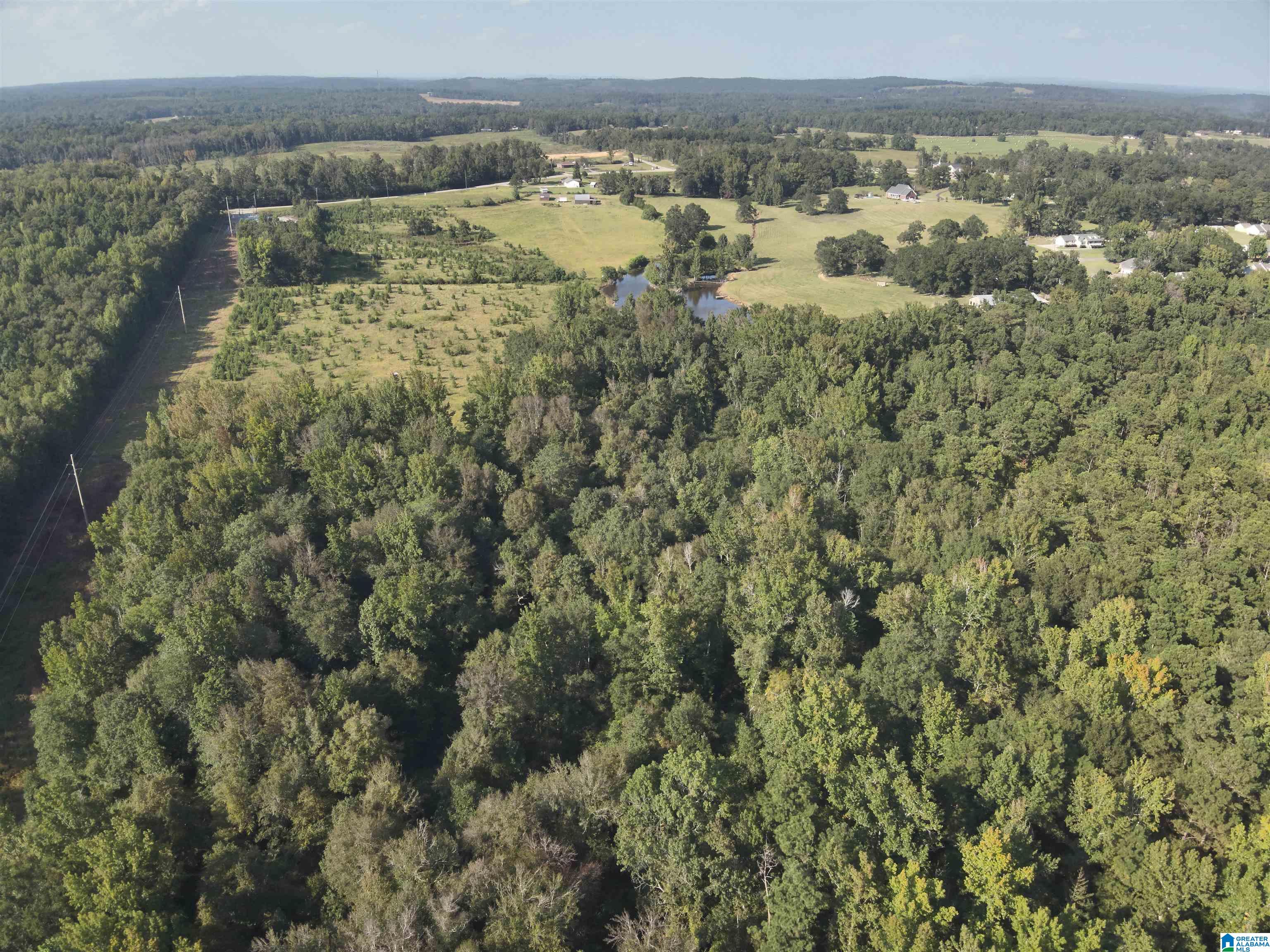 0 New Harmony Road, Unit 35 ACRES / Clanton, AL 35045 - Photo 4 of 21