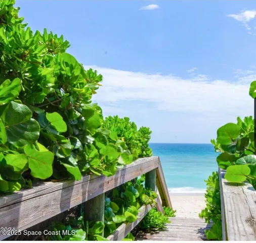 a plant that is in front of a house