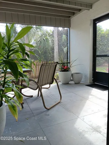 a room with furniture and a potted plant