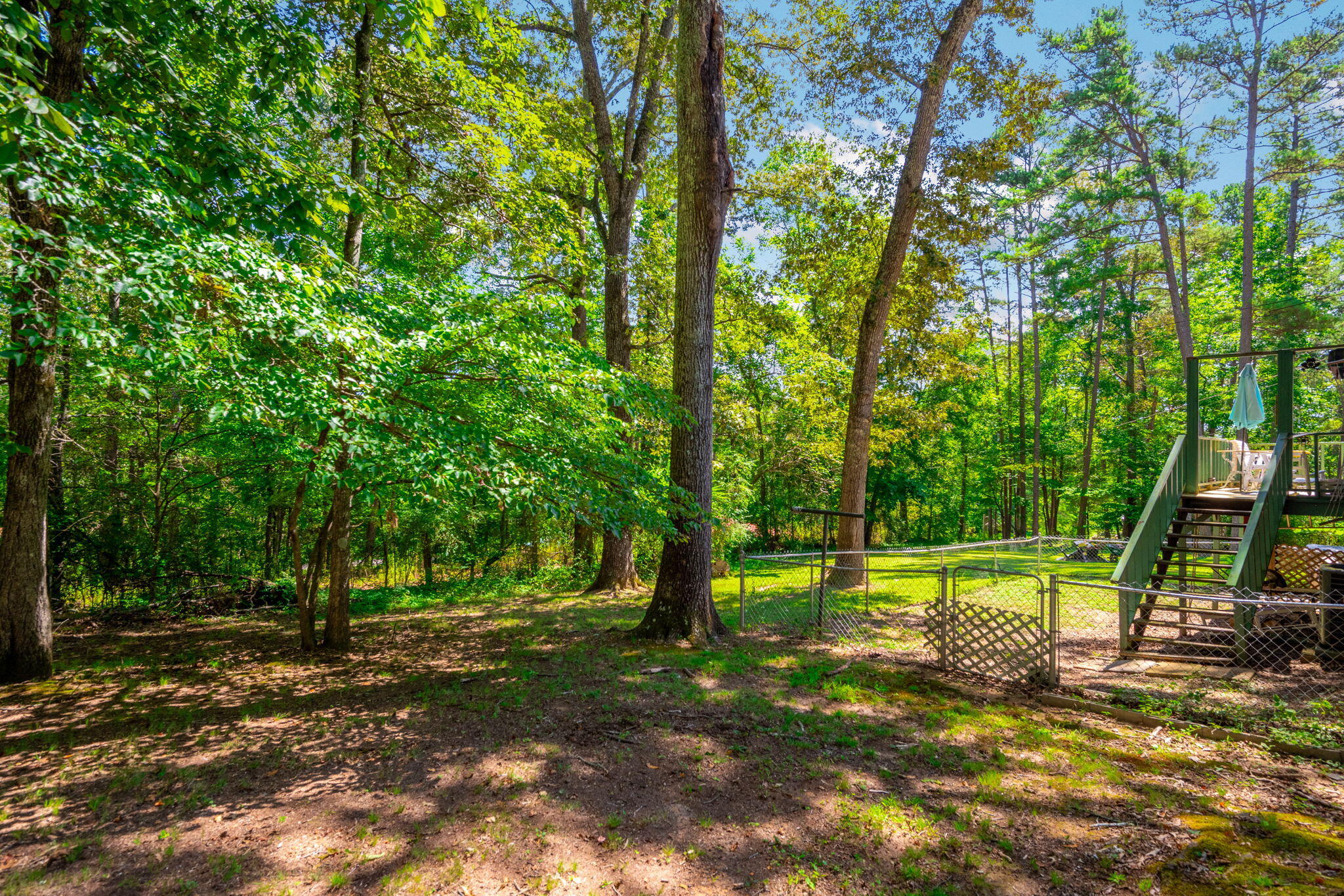 487 Knollwoods Road Jasper, TN 37347 - Photo 32 of 32 31-web-or-mls-DSC_3696