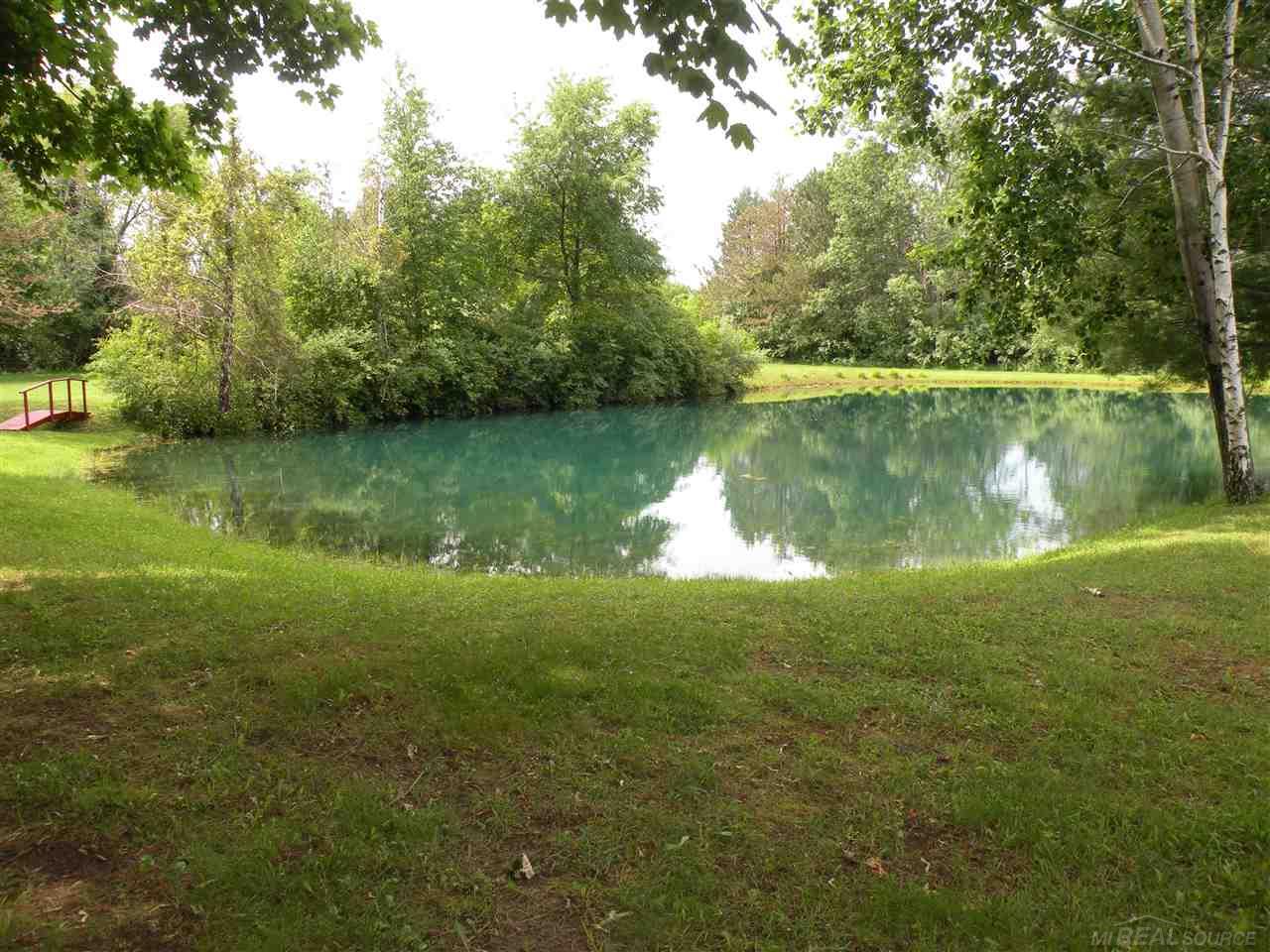 6335 Townsend Road Applegate, MI 48401 - Photo 12 of 44