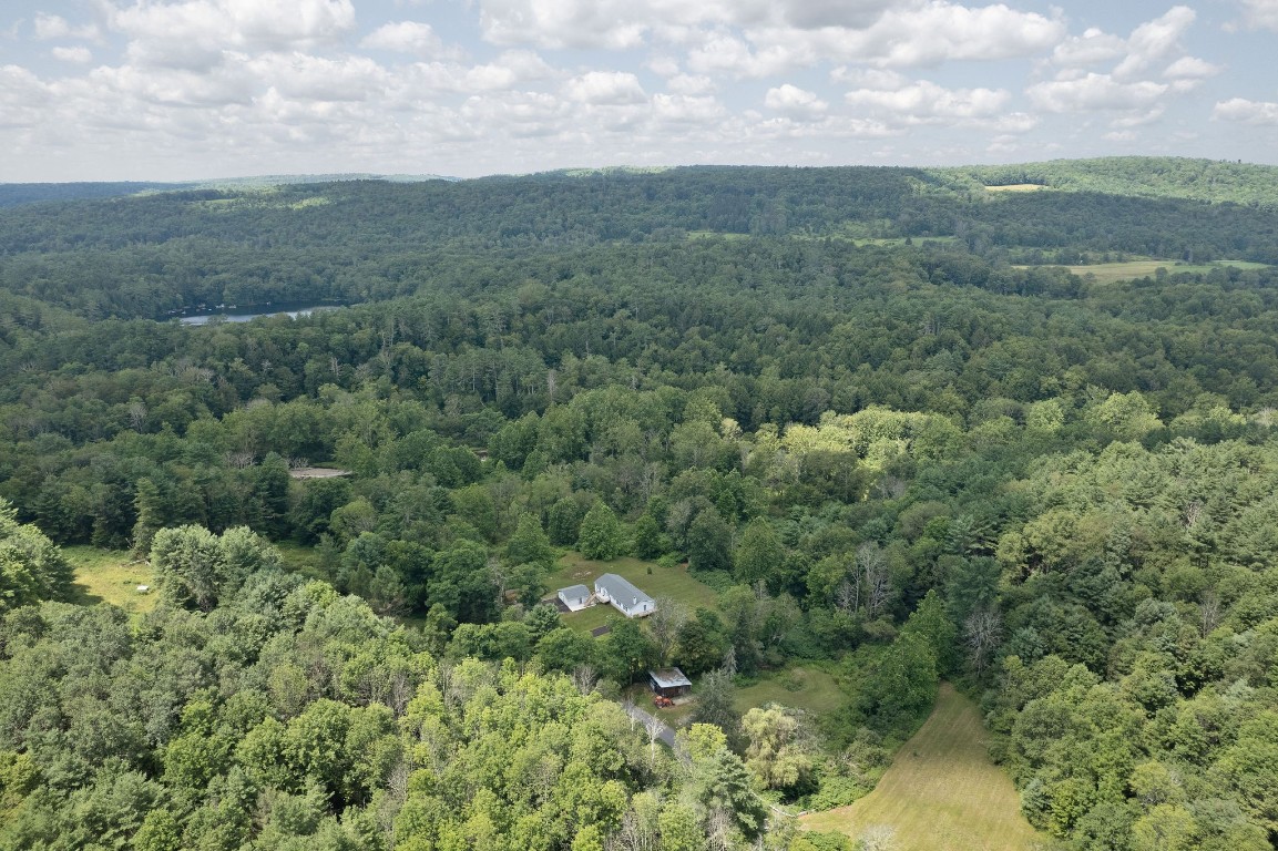 186 Hollenbeck Road Greene, NY 13778 - Photo 41 of 47 Gallery Image 41