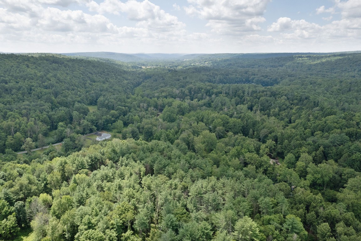 186 Hollenbeck Road Greene, NY 13778 - Photo 42 of 47 Gallery Image 42