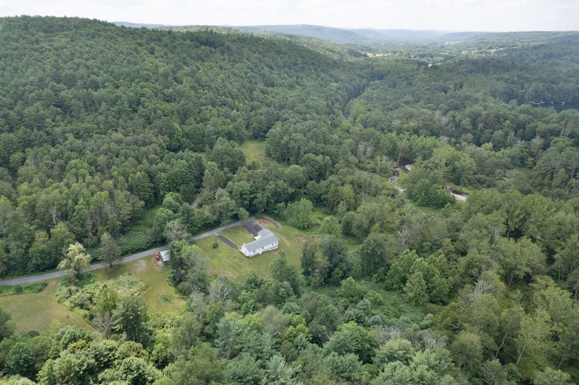 186 Hollenbeck Road Greene, NY 13778 - Photo 43 of 47 Gallery Image 43