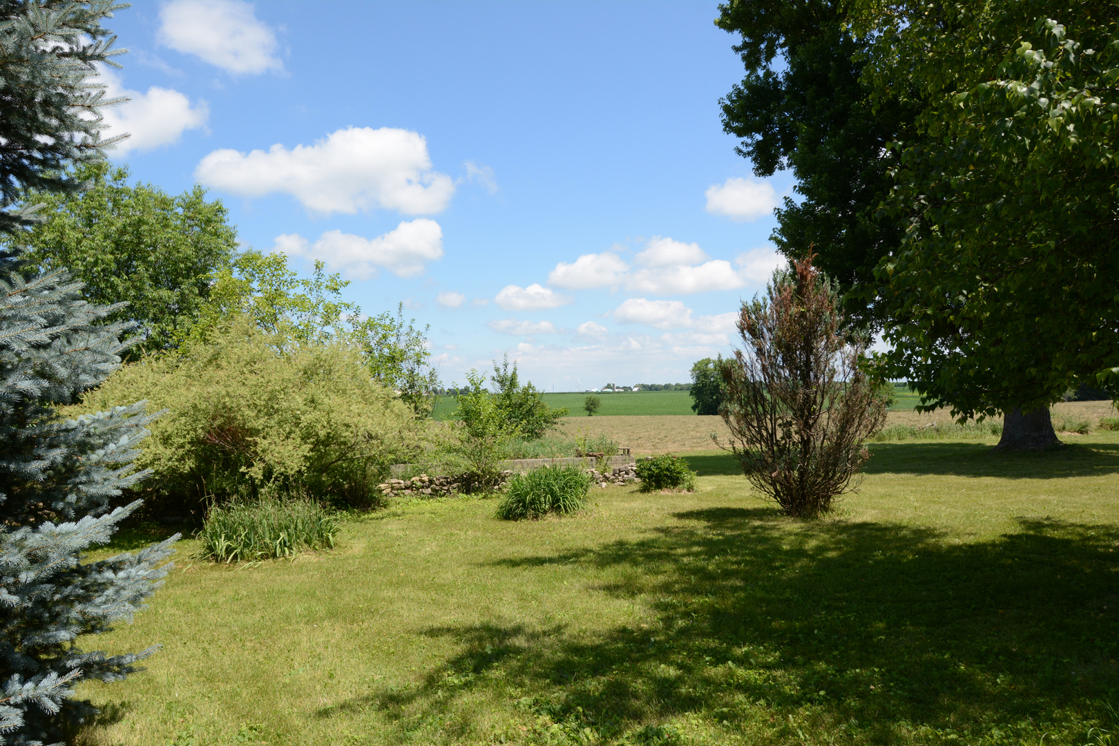 6115 South University Road Shabbona, IL 60550 - Photo 9 of 37 a view of a garden with an trees