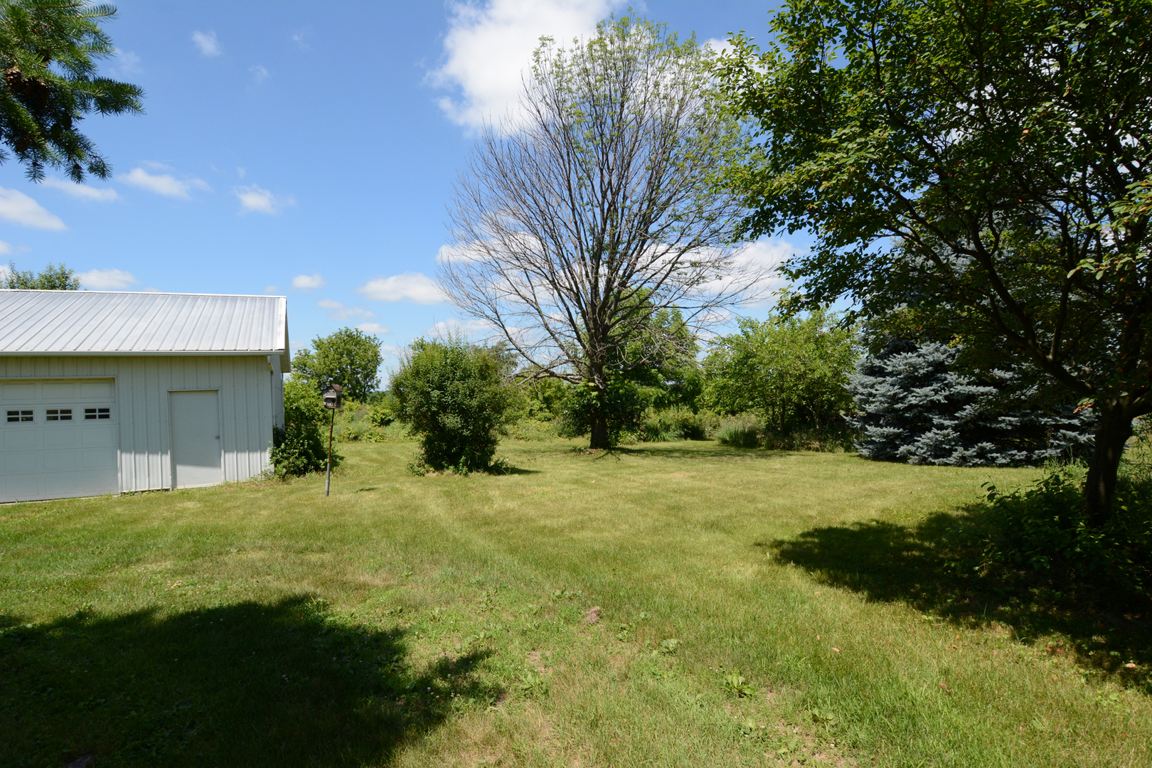 6115 South University Road Shabbona, IL 60550 - Photo 10 of 37 a view of a big yard with plants and a large tree