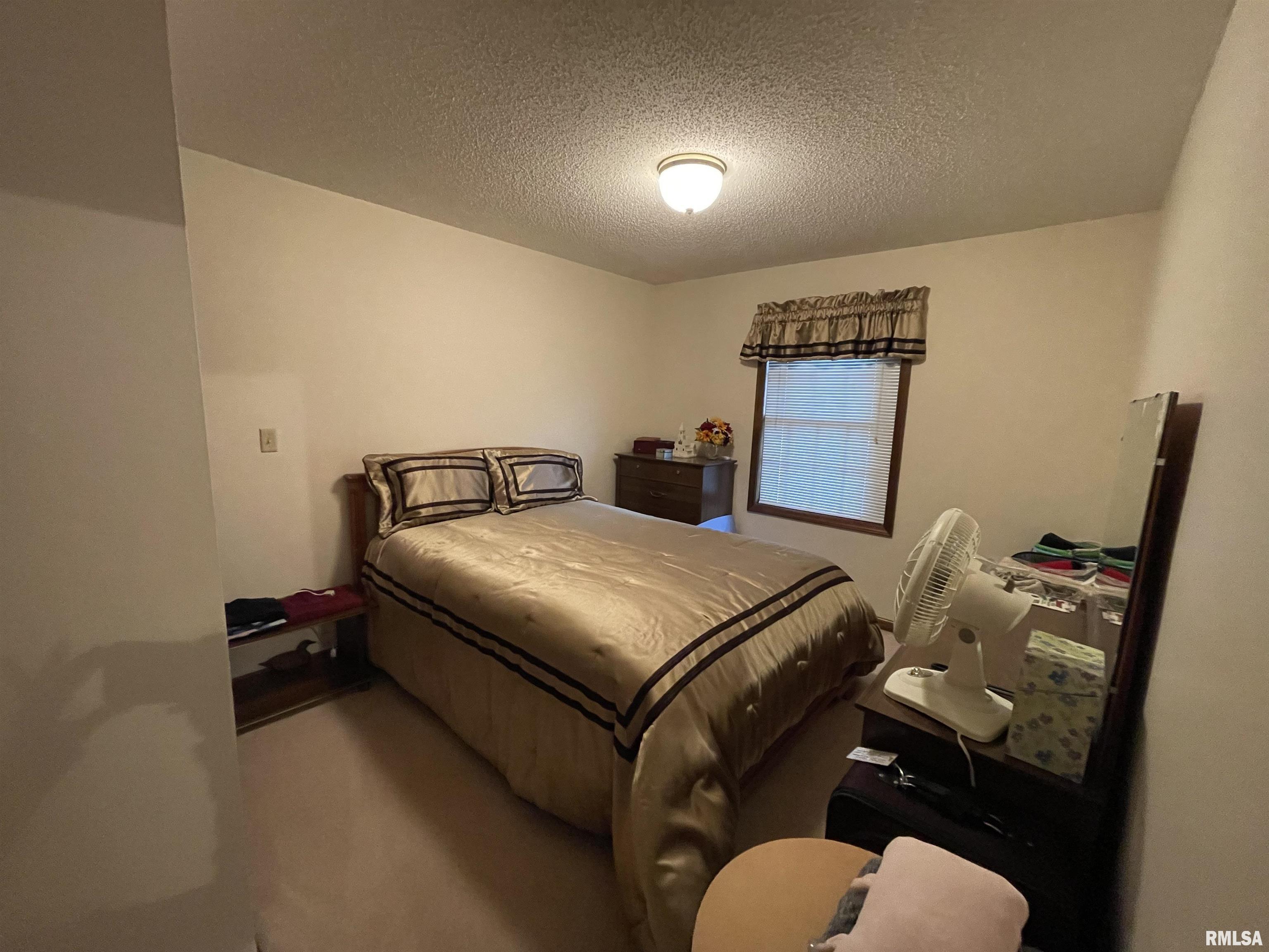 2442 Rolling Meadows Road Brookport, IL 62910 - Photo 8 of 20