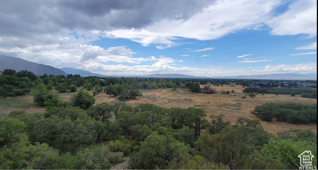 550 North 2000th Street East Mapleton, UT 84664 - Photo 4 of 16 View of mountain background