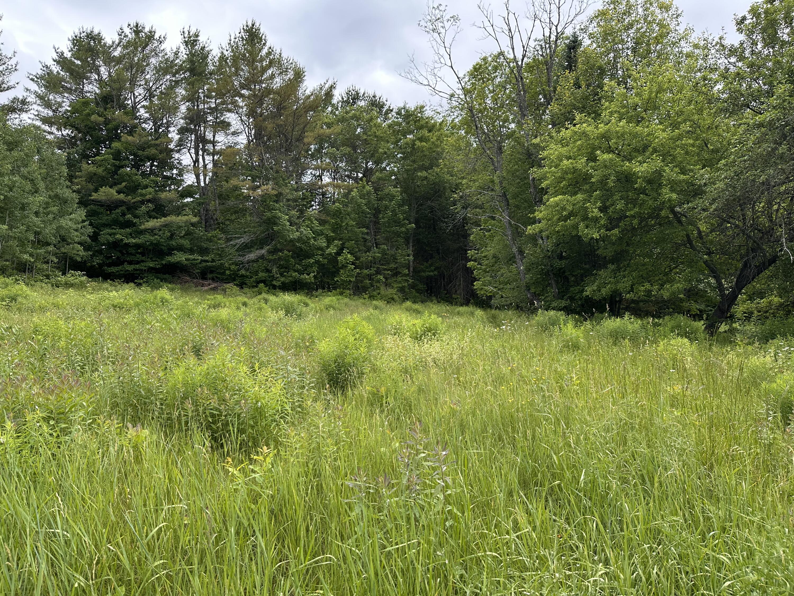 1184 Peabody Road Appleton, ME 04862 - Photo 19 of 23 IMG_7127
