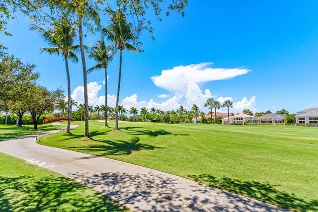 a view of a park and trees