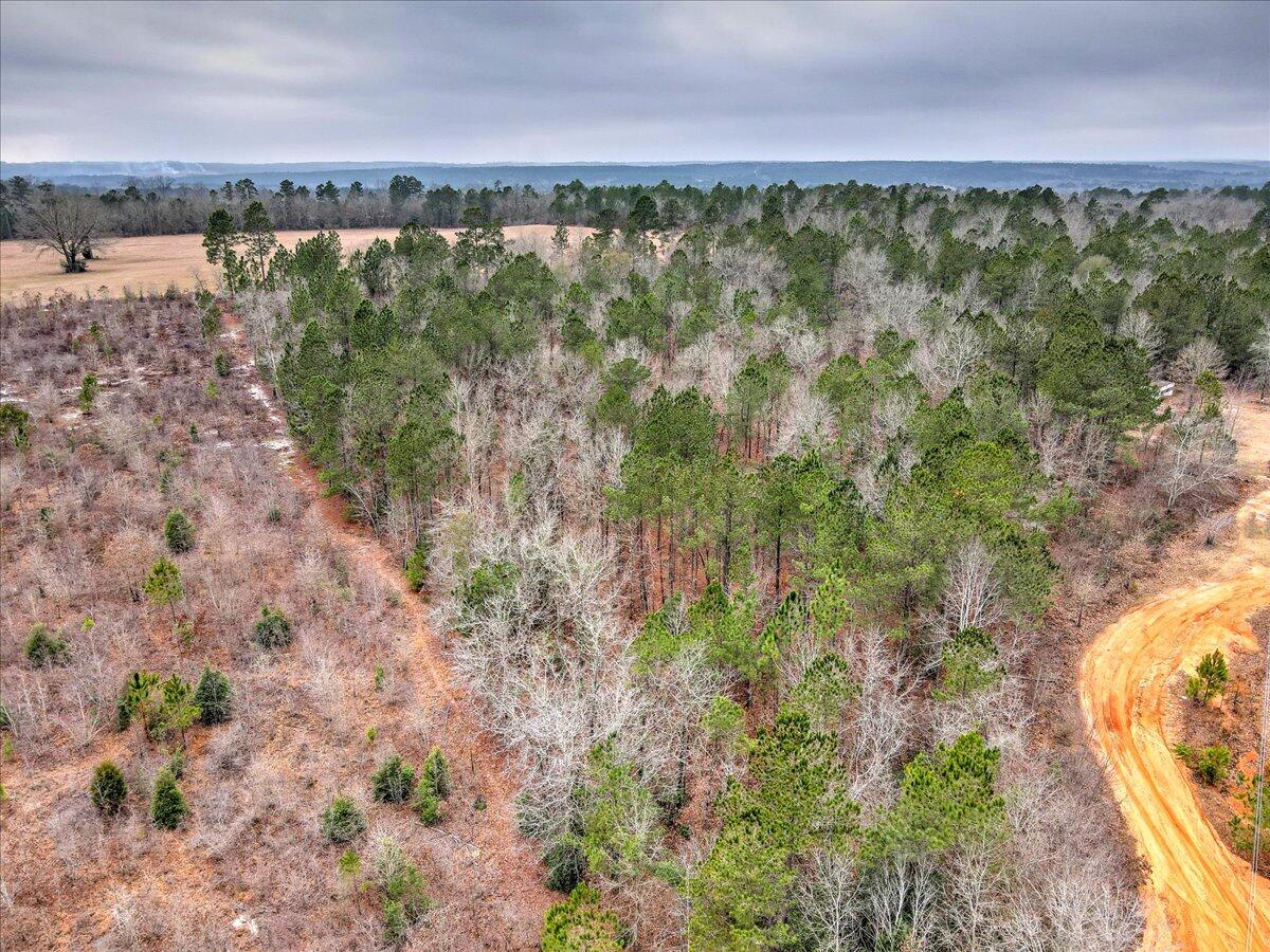 Tr-5 West Wilderness Road Williston, SC 29853 - Photo 12 of 14