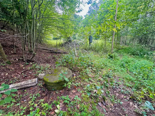 $350,000 | Tbd Old Anderson Quarry Road, Vilas, NC 28692