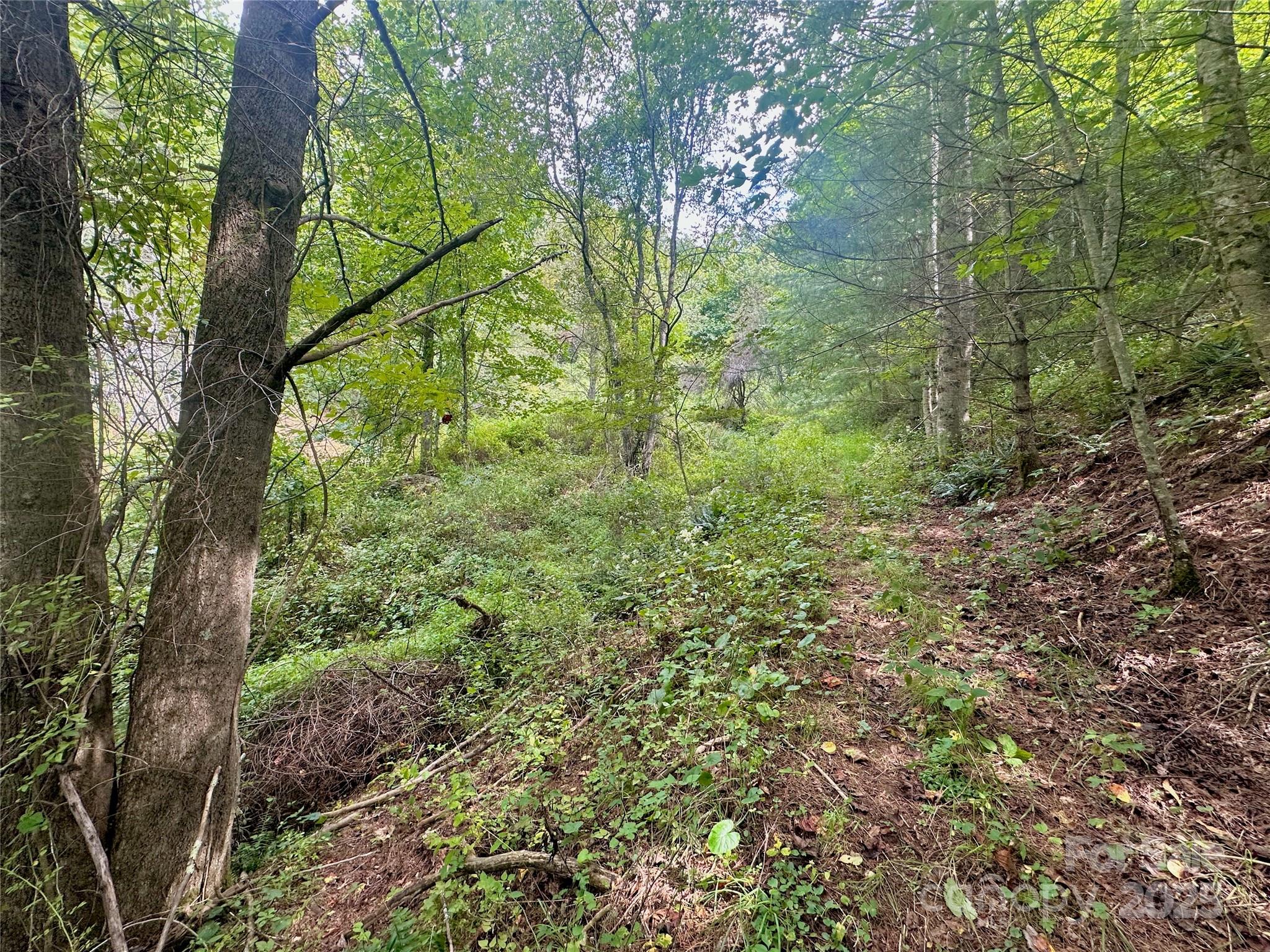 Tbd Old Anderson Quarry Road Vilas, NC 28692 - Photo 13 of 21