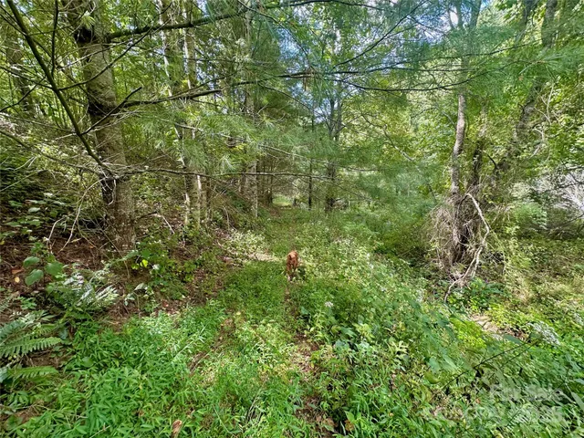 $350,000 | Tbd Old Anderson Quarry Road, Vilas, NC 28692