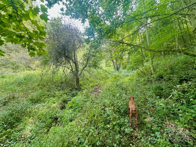 $350,000 | Tbd Old Anderson Quarry Road, Vilas, NC 28692