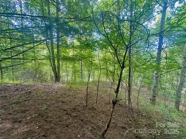 $350,000 | Tbd Old Anderson Quarry Road, Vilas, NC 28692
