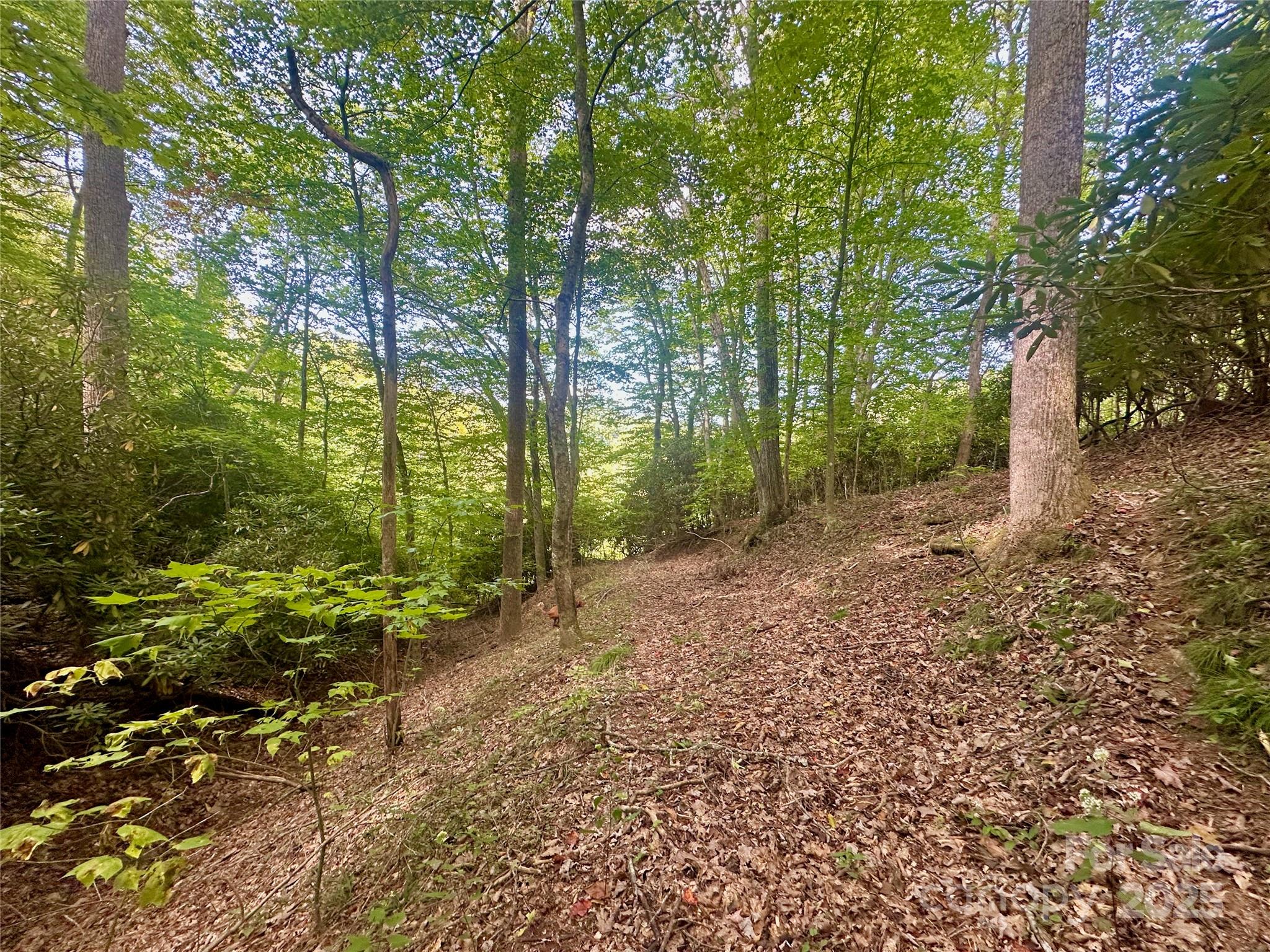 Tbd Old Anderson Quarry Road Vilas, NC 28692 - Photo 17 of 21