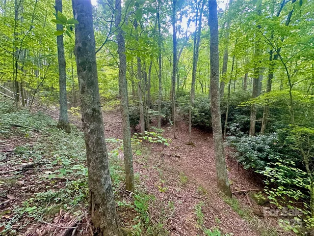 $350,000 | Tbd Old Anderson Quarry Road, Vilas, NC 28692
