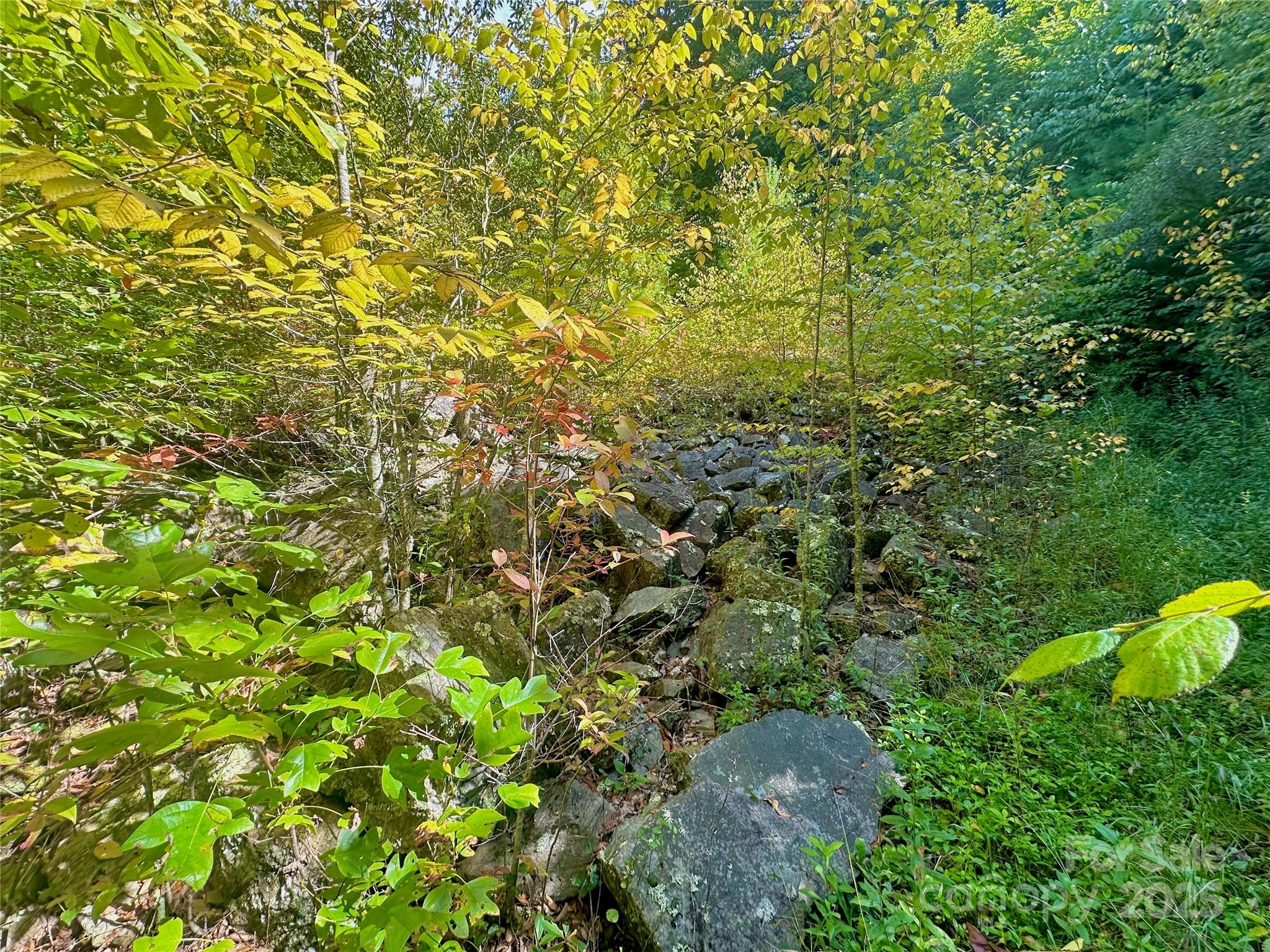 Tbd Old Anderson Quarry Road Vilas, NC 28692 - Photo 20 of 21