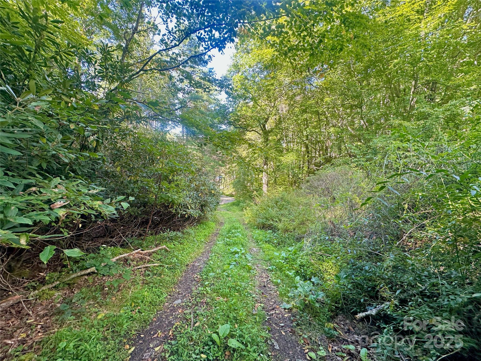 Tbd Old Anderson Quarry Road Vilas, NC 28692 - Photo 21 of 21