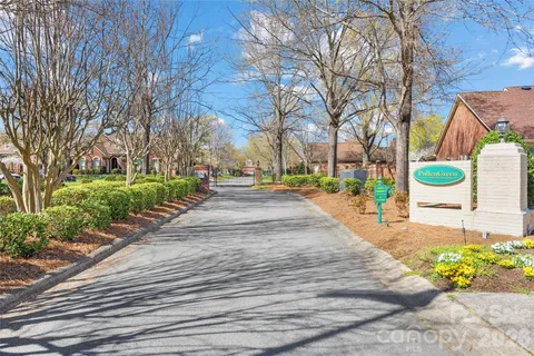 a view of a park with large trees