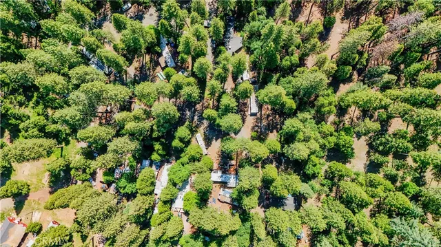 $1,750,000 | 26600 Ca-highway Highway 88, Pioneer, CA 95666