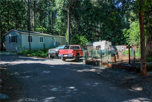 a sitting area with large trees and cars parked