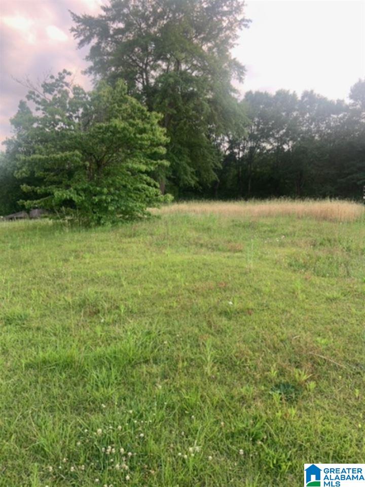 980 Turner Road, Unit 1 Anniston, AL 36201 - Photo 7 of 16