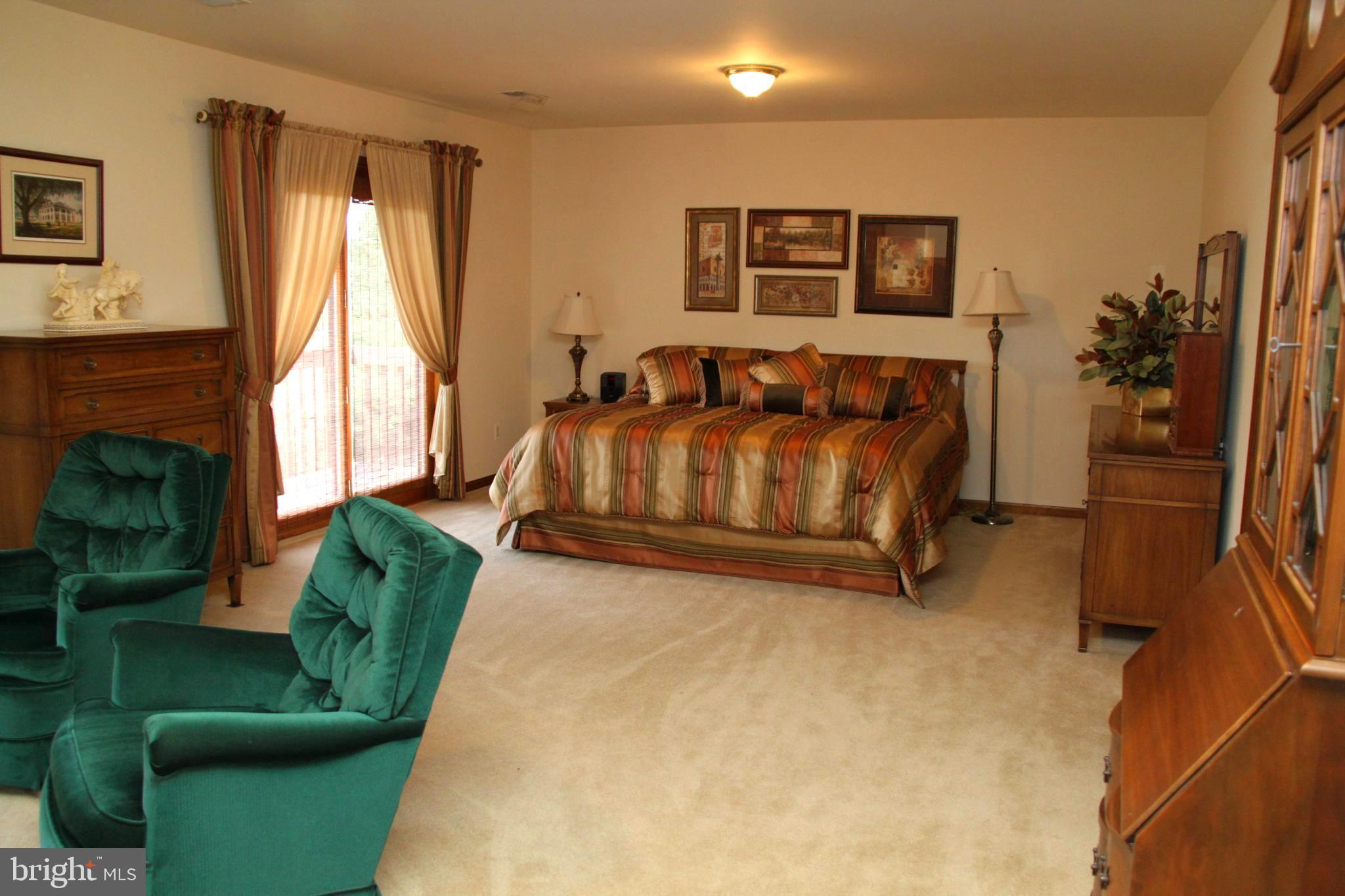 14 Wetherbee Court Phoenix, MD 21131 - Photo 25 of 64 Main level primary bedroom