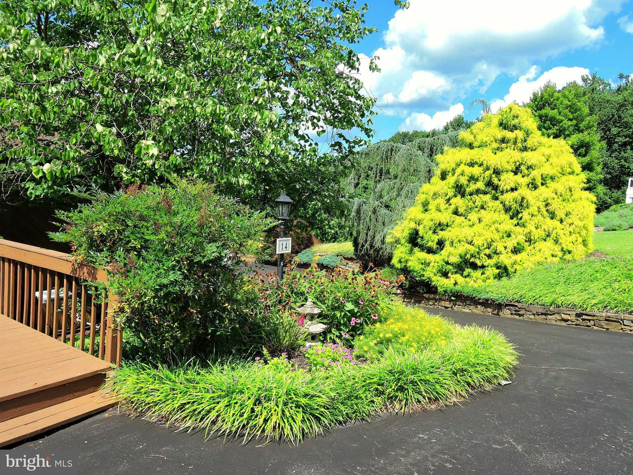 Lavish landscape