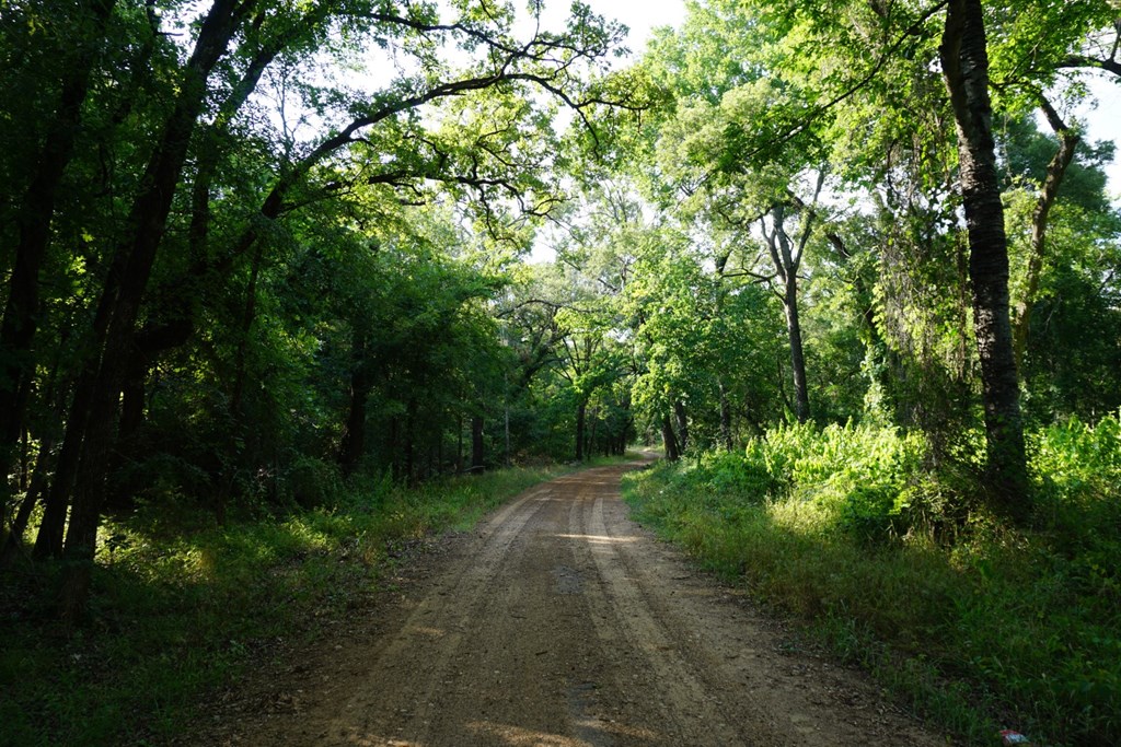 1 Acr 494 Athens, TX 75751 - Photo 8 of 25