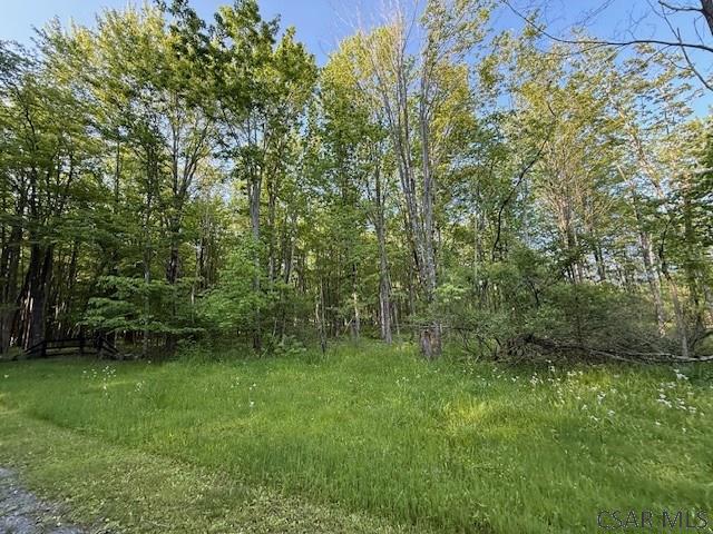Baumgardner Road Salix, PA 15952 - Photo 5 of 14 Gallery Image 5