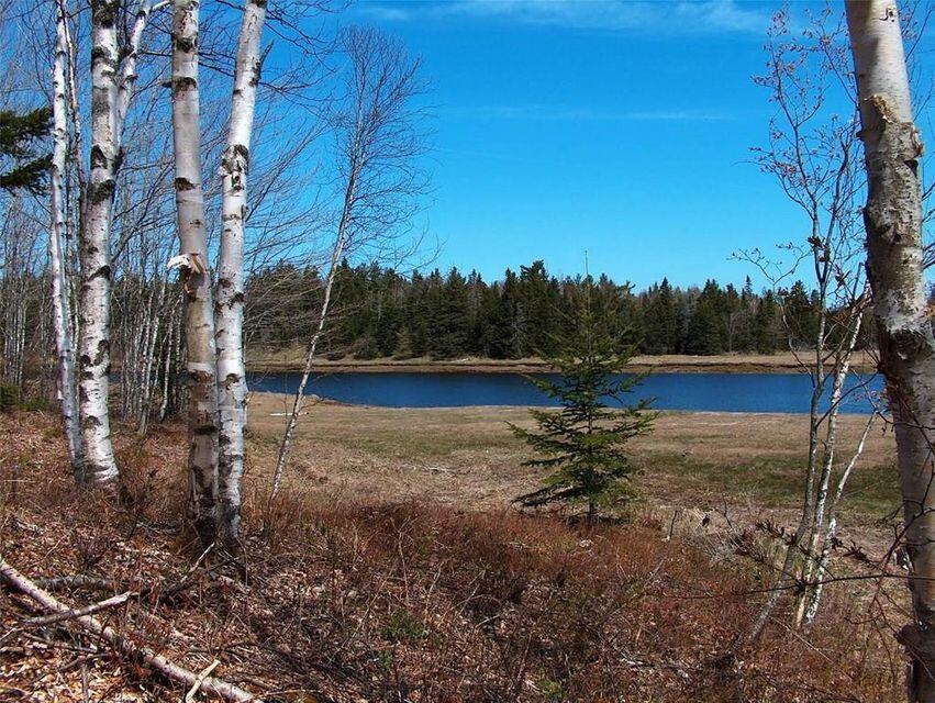 0 Wescogus Road Addison, ME 04606 - Photo 1 of 17 Grassy Frontage