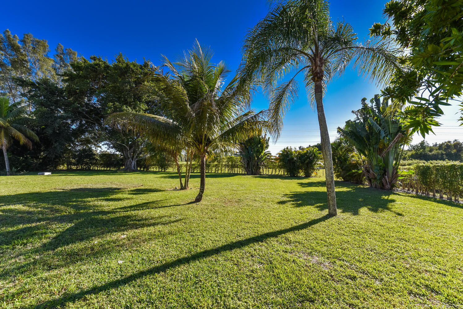 10340 Avenida Del Rio Delray Beach, FL 33446 - Photo 45 of 48 10563F~1