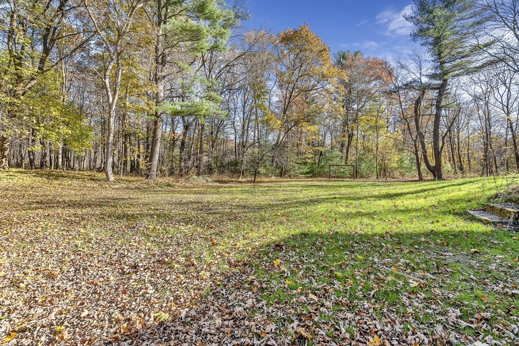 16 County Street Foxboro, MA 02035 - Photo 33 of 33 a view of outdoor space with trees all around