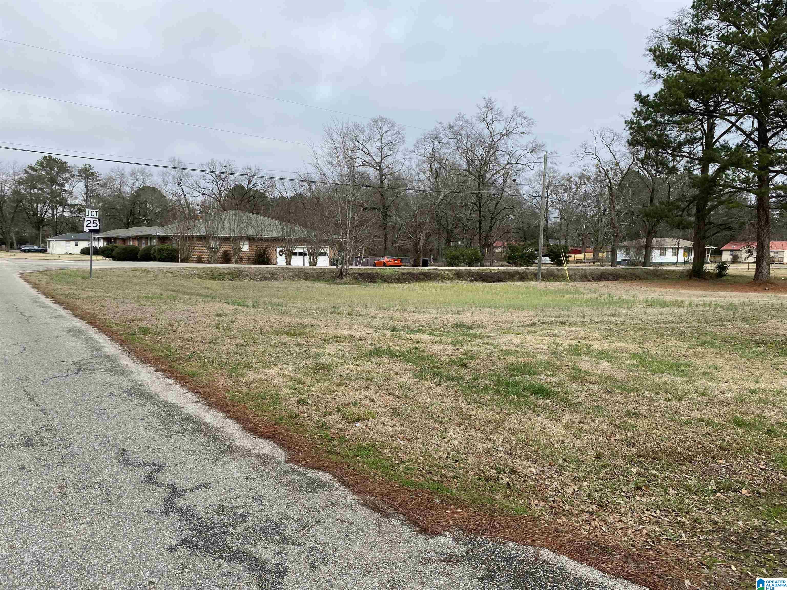 0 20th Street, Unit 9 Calera, AL 35040 - Photo 2 of 3