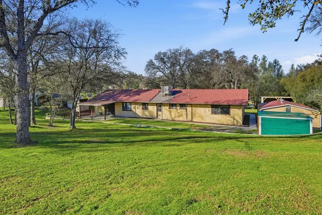 a view of a park with large trees