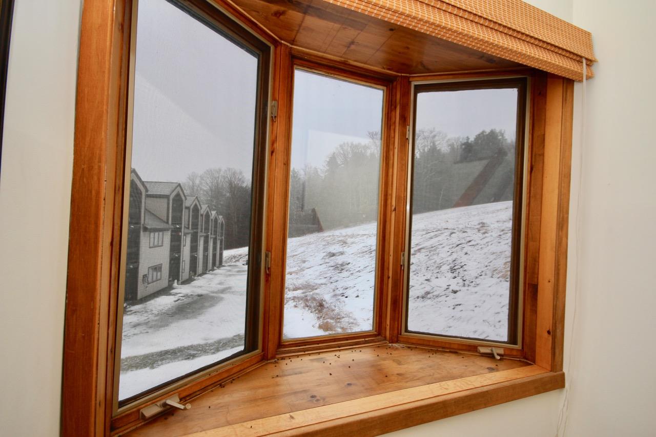 512 Mountains Edge Road Brownsville, VT 05037 - Photo 12 of 14 Gallery Image 12