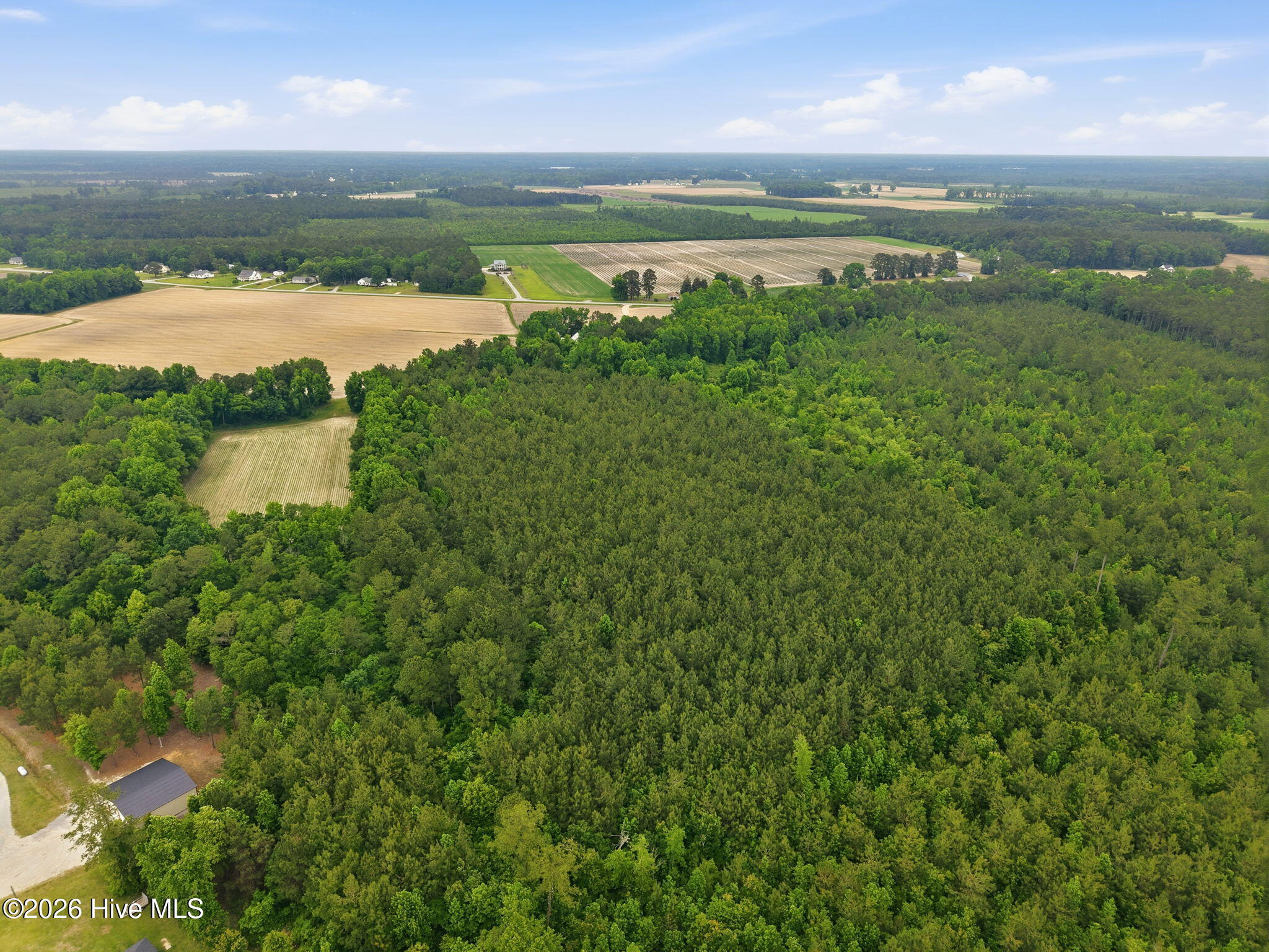 0 Off Gay Road Walstonburg, NC 27888 - Photo 3 of 11 3-web-or-mls-DJI_20260511120536_0022_D