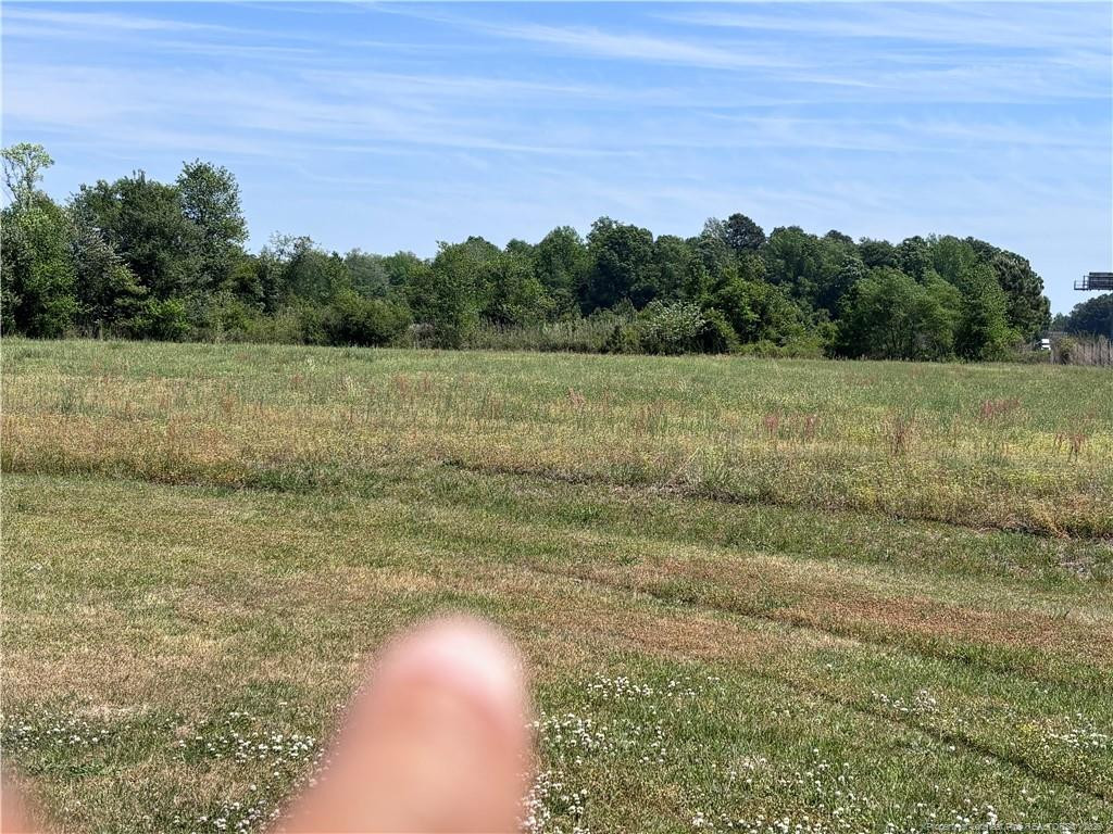 Backswamp Road Lumberton, NC 28360 - Photo 9 of 16 Photo 9