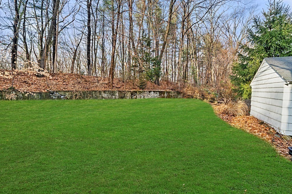 47 Beverly Road Newton, MA 02461 - Photo 16 of 19 a view of a backyard with large trees
