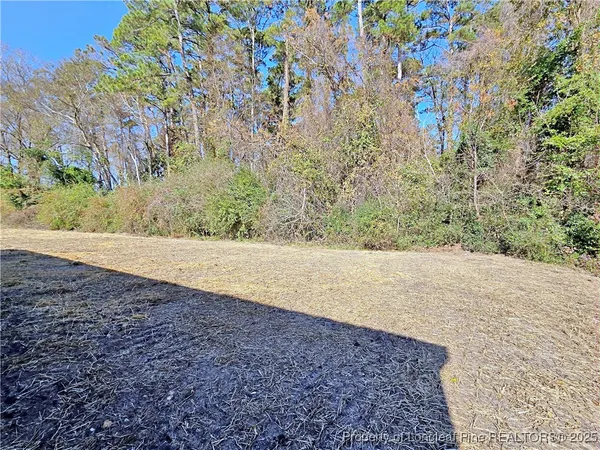 $185,000 | 4053 Lodge Drive, Wade, NC 28395