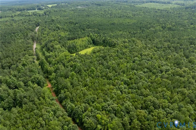 a view of a lush green forest with lots of trees