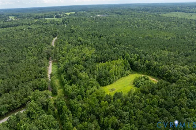 a view of a lush green forest with a mountain