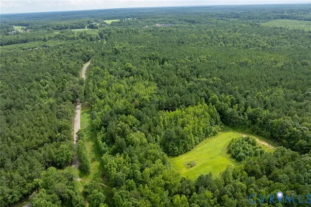 a view of a lush green forest with trees and grass