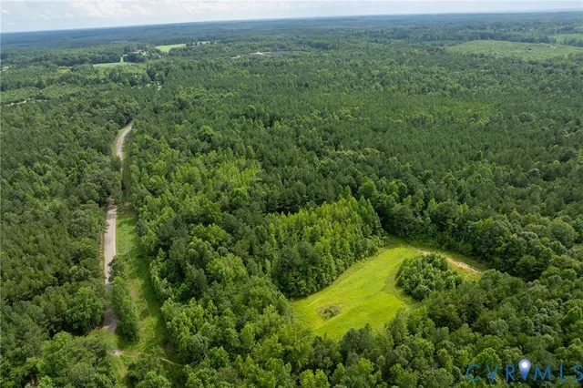 a view of a lush green forest with lots of trees